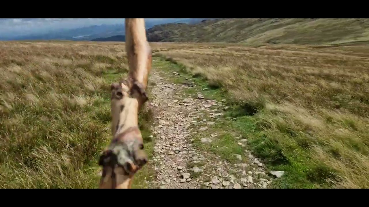 Thirlmere To Dungeon Ghyll 2 YouTube thirlmere-to-dungeon-ghyll-2-youtube