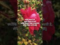 bharosa karna hai to#motivation #shortvideo #khansiracedmy #successmind #zaroorithaslowed #sad