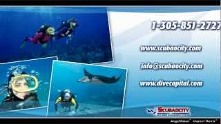 Scubaocity's Dive Shop Management System