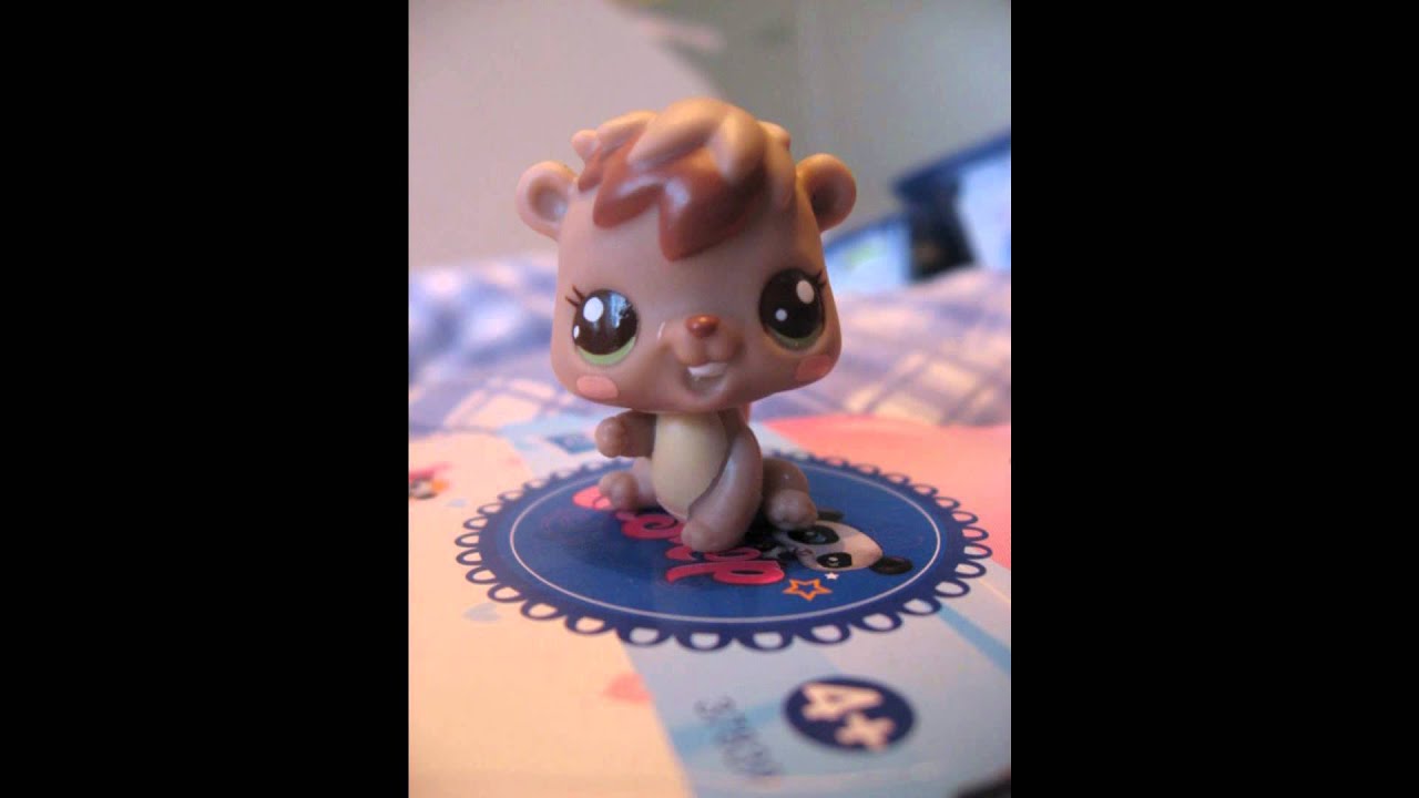 New littlest pet shops - YouTube