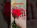বিশ্বাস #subscribe #shorts #trending #trust #foryou #love #viralvideo