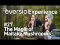 The Eversio Experience Podcast | #27 - Maitake Magic: Blood Sugar, Hormones & Immune Support