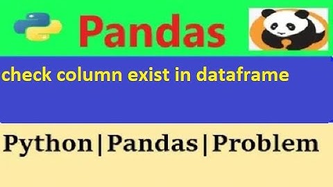 How to check if a column exists in Pandas DataFrame|check column exist in dataframe