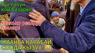 Кой, козу, соолук, кочкор баарынын баасын сурадык!