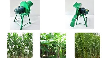 Máy Băm Cây Ngô - Cây Chuối - Cỏ Voi . Siêu Mịn - Cắt Lát . Động Cơ 1,1kW . Giá Chỉ Hơn 1 Triệu