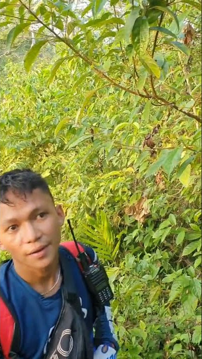 STORY WA TRAIL |   STORY WA TRABAS .motor terbakar waktu ngetrail #shorts