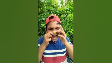 Hoe ik een insectenbeet genas met yoghurt