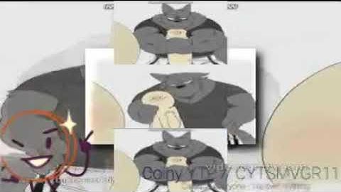 (YTPMV) FURRSCAN Scan V2