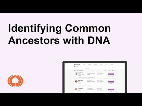 Identifying Common Ancestors with DNA by Shahar Tenenbaum