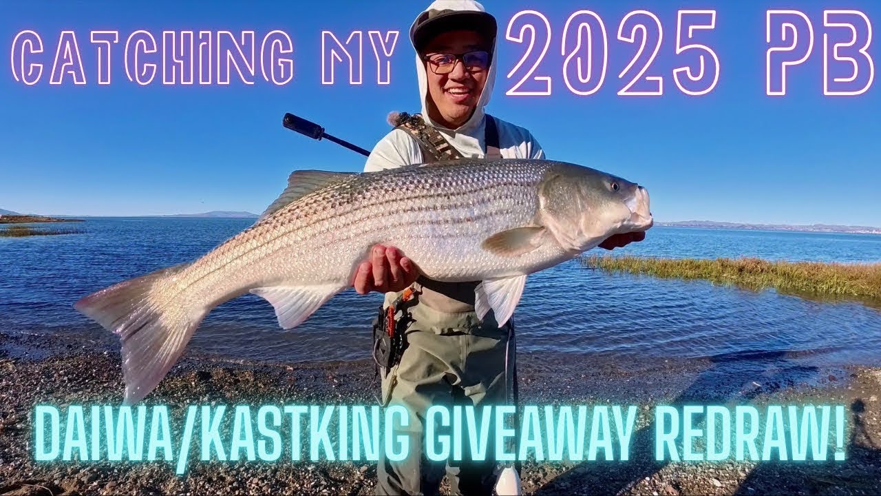 Monster Striper in the San Francisco Bay! The Bite Is On! 🎣