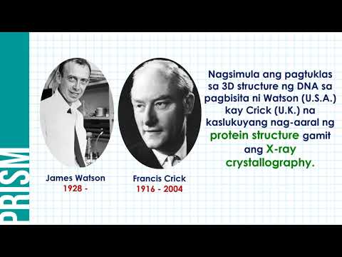 Video: Paano nakatulong si Francis Crick sa pagtuklas ng DNA?