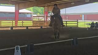 Western Dressage Intro test 1. 65.91%