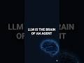 The LLM is the brain of every AI agent — here's how