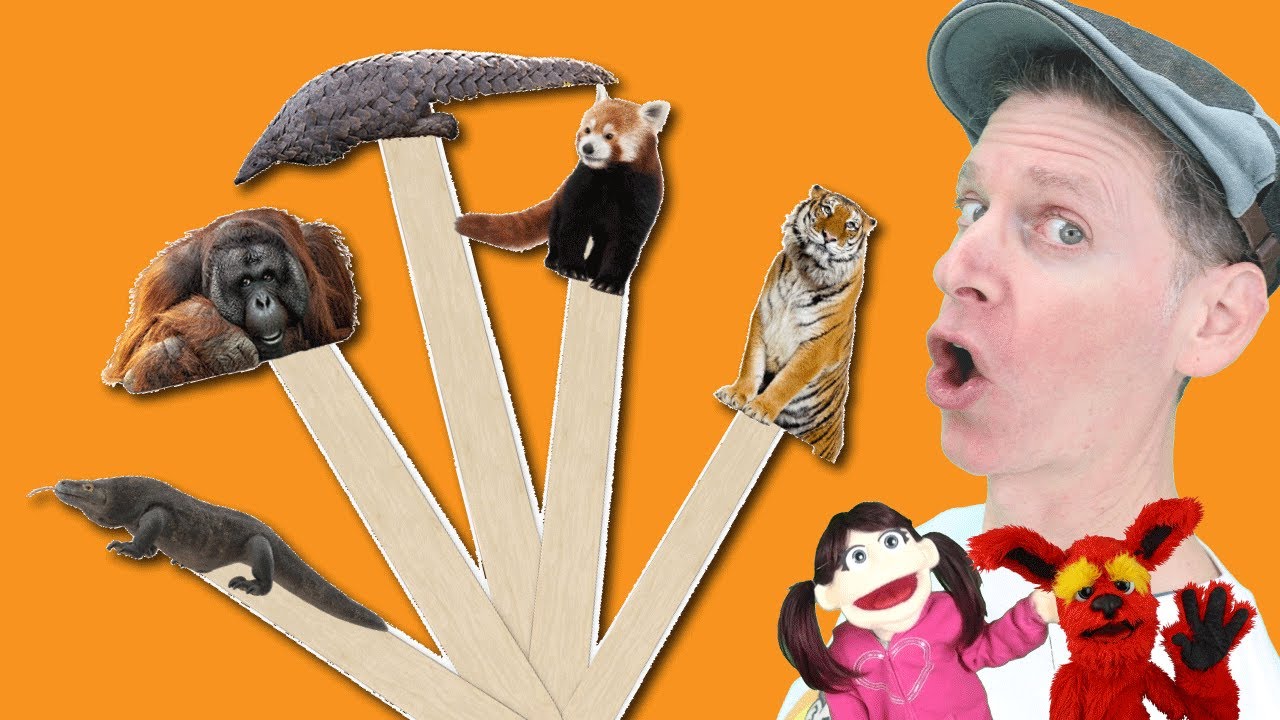 Asian Wild Animals Part 2 | Pop Sticks Song with Matt | Dream English Kids