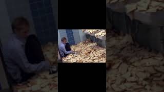 Android Notification Sounds