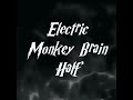 Without You By Electric Monkey Brain Half Live At Y&#39;s Kawasaki