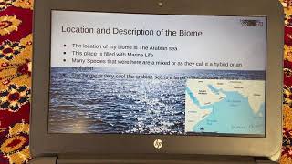 Biome Research Project