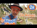 Blippi in The Jungle Safari Park! | Animals for Kids | Funny Cartoons | Learn about Animals