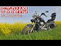 Стрим 13.10.2024