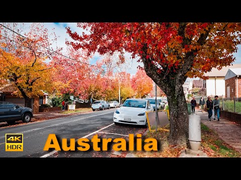 Australia Walking Tour in Autumn - Blackheath | 4K HDR