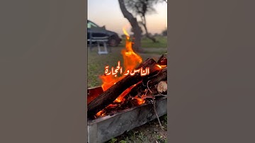 يا أيها الذين آمنوا قوا أنفسكم و أهليكم نارا... مقطع من سورة التحريم بصوت القارئ @abdelazizsheim