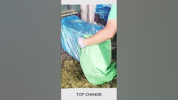 Grass packing process #GrassSilagebaler #Goodtools #smartwork #short