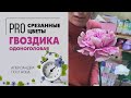 Гвоздика одноголовая - ПОЧЕМУ флористы любят гвоздику | Вы поменяете свое мнение о гвоздике