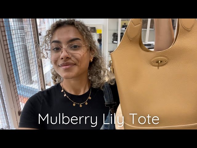 Pink April Diary - Saint Laurent Leather Tote Bag Complete Review