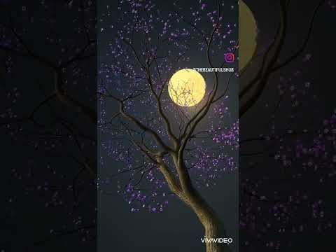 قالو محبوبك وصل حالات