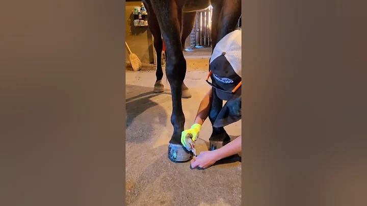 EasyShoe Versa Grip Octo Application