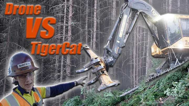 Pacific Northwest LOGGING I Tigercat Feller Buncher