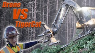 Pacific Northwest LOGGING I Tigercat Feller Buncher by Aaron Witt 92,256 views 3 months ago 9 minutes, 49 seconds