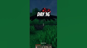 Mining 1 Block a Day Until I Find Diamond (Day 16)