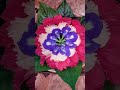 Uruli flower decoration#betel leaf uruli decoration #diwali  #diwali uruli decoration#shorts