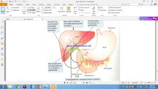 2Nd Year 1St Semester Physiology L28 1