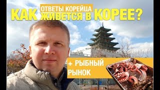 ЖИЗНЬ В СЕУЛЕ: 15 вопросов корейцу о ценах, работе и жизни. Корейское барбекю, рыбный рынок Сеула.