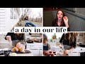Cook with me, starting seeds, pantry update | DAY IN THE LIFE