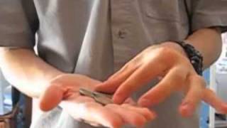 Coin Magic Trick - Utility Switch - OpenBobo Project