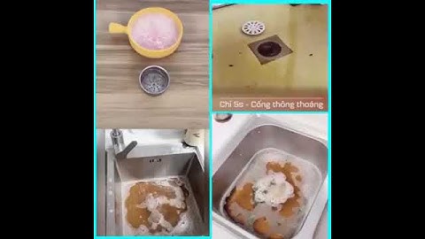 BỘT THÔNG CỐNG CỰC MẠNH