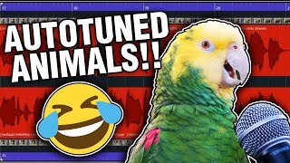 Animals With Autotune: Unbelievable!