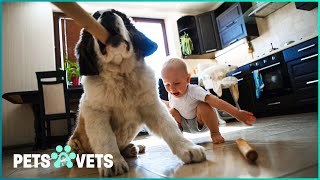 60 Minutes Of Hilarious Pet Home Videos | Funniest Pets And People | Pets & Vets