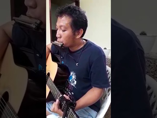 Hutan di Desa - Iksan Skuter (Yogi Cover) class=