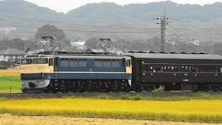 EF65 501 & EF64 1053 EL群馬県民の日 2024 10/28
