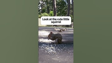 Camcamp helps you protect it with peace of mind#Camcamp #securitycamera #security #safety #smarthome