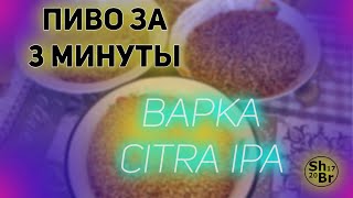 Варка Citra IPA