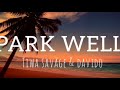 Tiwa savage ft. Davido _ park well (lyrics video)