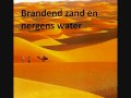 de sjonnies - brandend zand