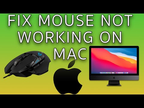 How to fix Mouse not working on Mac - 3 most common reasons why the mouse is not working (2022)