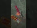 100 Wali Ladi 2024 100 Wali Ladi 2024