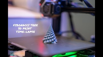 3D PRINTED TIME-LAPSE FIBONACCI TREE